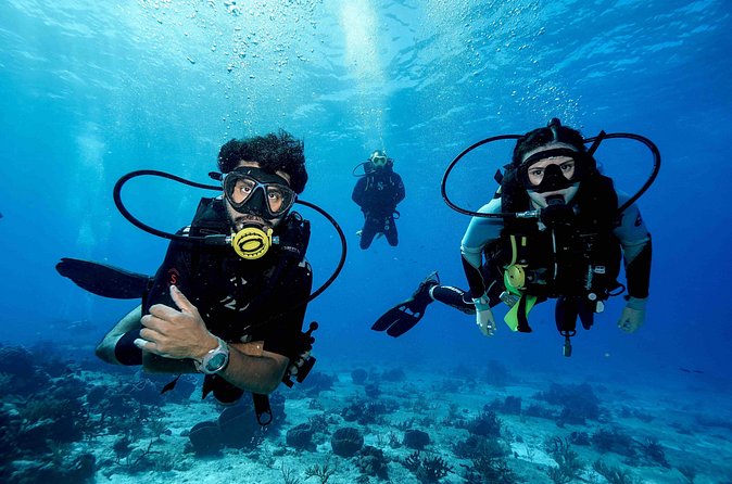 Cozumel Reef Suba Diving Adventure for Certified Divers - Physical Requirements and Suitability