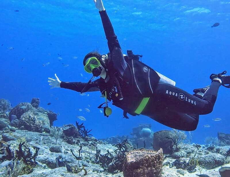 Cozumel Scuba Diving: 2 Tanks in the National Park for certified divers - Key Points