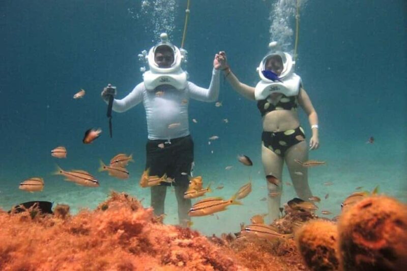 Cozumel: Sea Trek Adventure at Chankanaab National Park - Key Points