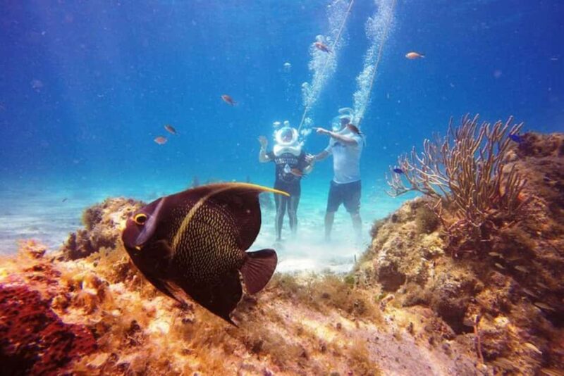 Cozumel: Sea Trek Adventure at Chankanaab National Park - The Unique Underwater Walking Experience in Chankanaab National Park