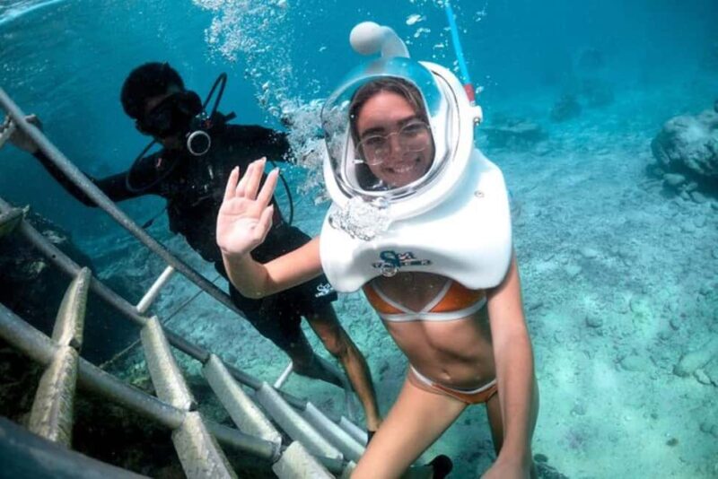 Cozumel: SeaTrek Underwater Helmet Diving Experience - The Marine Life You Can Expect to See During SeaTrek