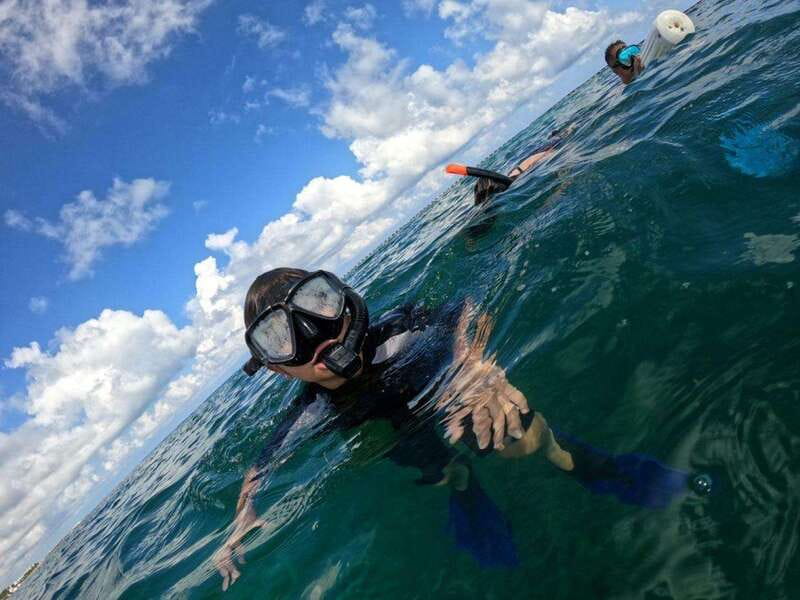 Cozumel: Shipwreck and Reef Dive with Lunch - Explore the Iconic C-55 Shipwreck and Stunning Reefs of Cozumel for $327