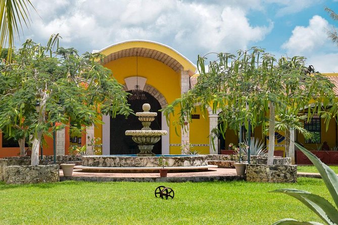 Cozumel Shore Excursion: 5-Hour Sightseeing Tour with Private Driver - Tequila Tasting at Mi Mexico Lindo