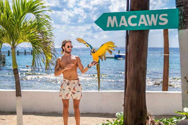 Cozumel: Snorkel and Swim with Stingrays - The Practicalities of Meeting at Stingray Beach