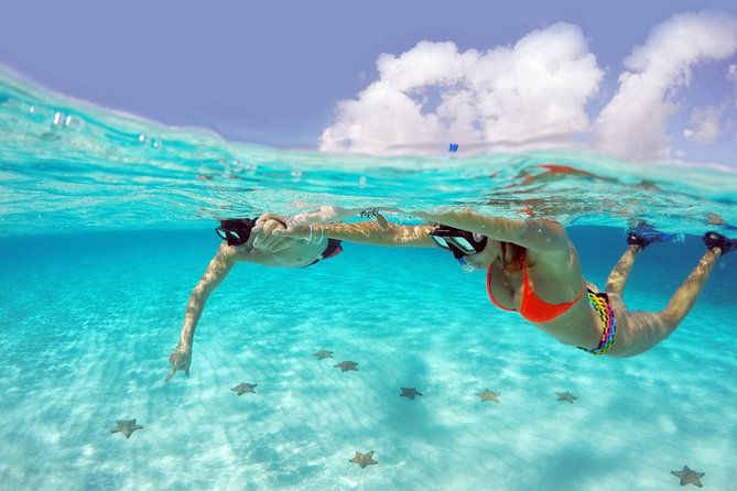Cozumel Snorkeling Adventure full day Tour - Key Points