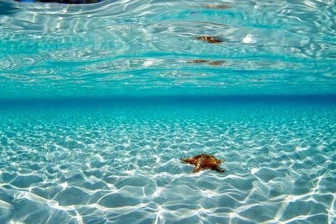 Cozumel Snorkeling Adventure full day Tour - Lunch and Refreshments on the Island