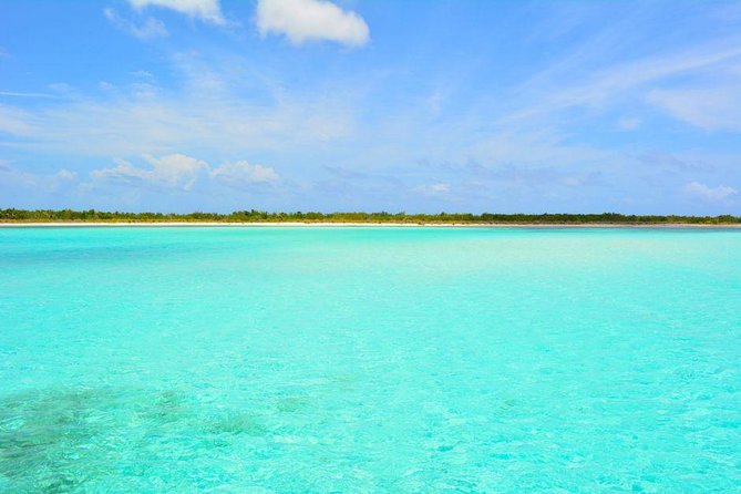 Cozumel Snorkeling Adventure full day Tour - Additional Fees and Policies