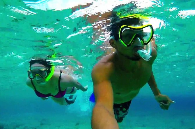 Cozumel Snorkeling Adventure full day Tour - Customer Experience and Feedback