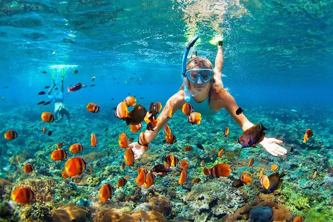 Cozumel Snorkeling Adventure full day Tour - Practical Considerations