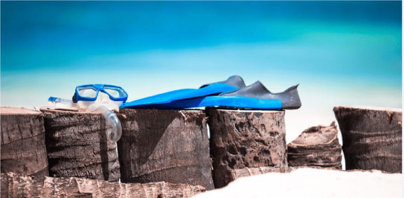 Cozumel: Snorkeling Adventure - Explore the Vibrant Underwater World of Cozumel for $163