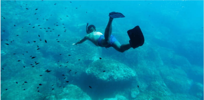 Cozumel: Snorkeling Adventure - Logistics: Ferry Departures and Marine Park Fees