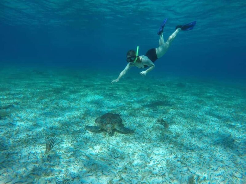 Cozumel: Snorkeling at Playa El Cielo with drinks, ceviche, and more - The Scenic Drive Between Stops