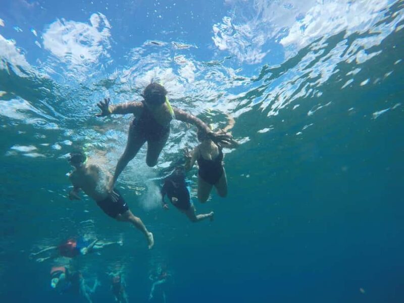 Cozumel: Snorkeling at Playa El Cielo with drinks, ceviche, and more - The Food and Beverage Experience