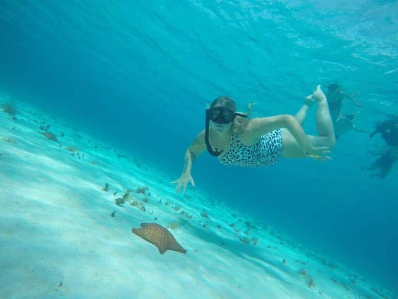 Cozumel: Snorkeling at Playa El Cielo with drinks, ceviche, and more - Guides and Customer Service