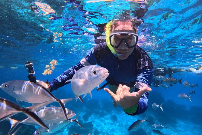 Cozumel Snorkeling Reef Experience with Ceviche and Beers - Experience the Best of Cozumel Snorkeling with Ceviche and Beers