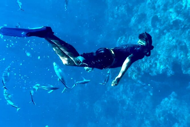 Cozumel Snorkeling Reef Experience with Ceviche and Beers - Meeting Point and Tour Logistics