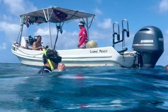 Cozumel Snorkeling Reef Experience with Ceviche and Beers - Private Tour and Group Sizes