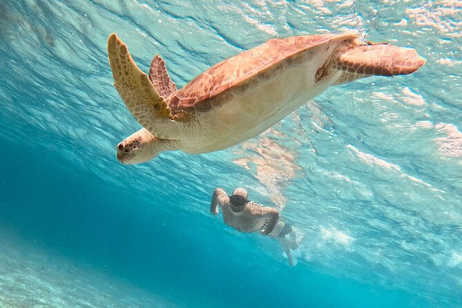 Cozumel Snorkeling to Palancar & El Cielo with drinks & Snack - Key Points