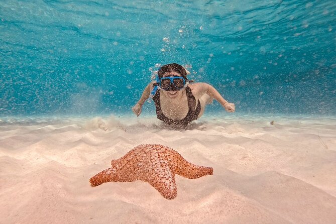 Cozumel Snorkeling to Palancar & El Cielo with drinks & Snack - Visiting Playa El Cielo: Starfish and Shallow Turquoise Waters