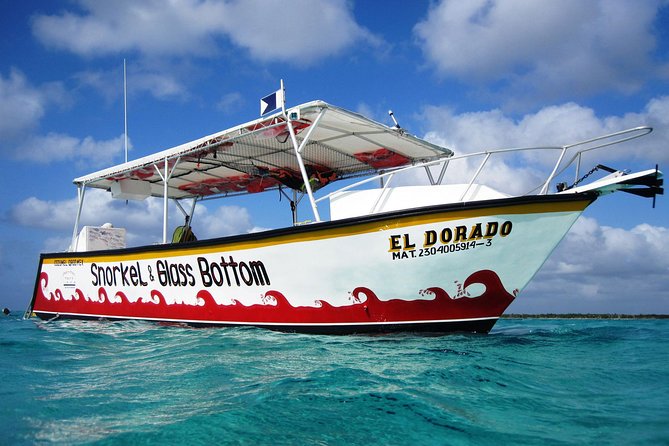 Cozumel Snorkeling Tour at Palancar & Colombia Reefs and El Cielo - Colombia Reef: Spotting Sea Turtles and Rays