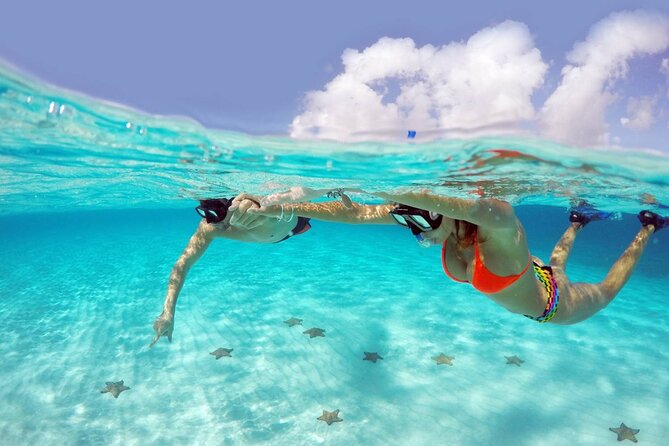 Cozumel Snorkeling Tour: Palancar, Columbia and El Cielo Reefs - Experience the Best of Cozumel’s Reefs for $29