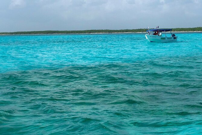 Cozumel Snorkeling Tour: Palancar, Columbia and El Cielo Reefs - Key Points