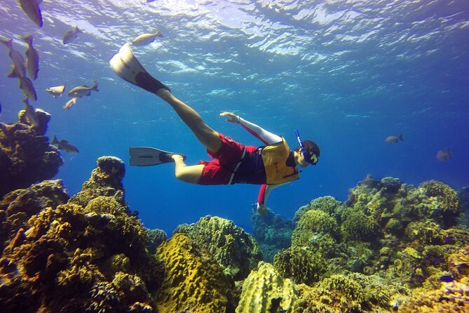 Cozumel Snorkeling Tour: Palancar, Columbia and El Cielo Reefs - Practical Details: Meeting Point and Group Size