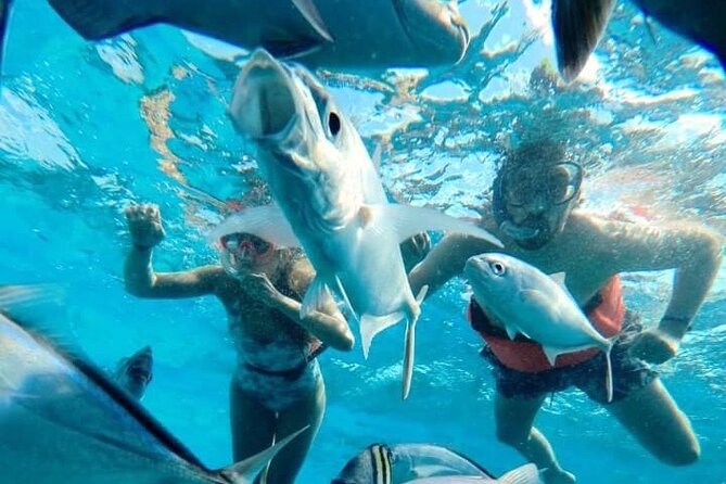 Cozumel Snorkeling Tour: Palancar, Columbia and El Cielo Reefs - Food, Drinks, and Rest Breaks