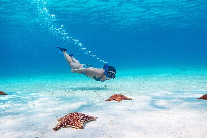 Cozumel Starfish and Tropical Reef Snorkeling by Powerboat with Lunch - Snorkeling at Coral Reefs Filled with Marine Life