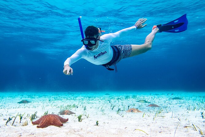 Cozumel Starfish and Tropical Reef Snorkeling by Powerboat with Lunch - Lunch and Light Snacks En Route