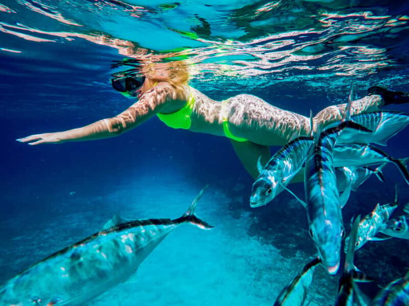 Cozumel: Starfish, Rays and El Cielo Snorkeling Experience - Key Points