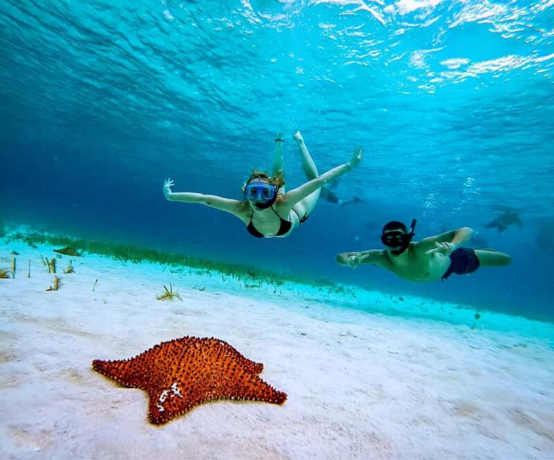 Cozumel: Starfish, Rays and El Cielo Snorkeling Experience - The Itinerary: From Harbor to Shallow Marine Wonders
