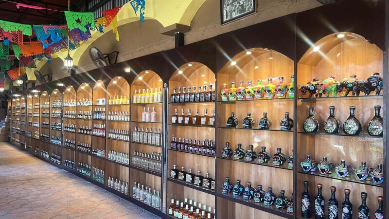 Cozumel: Tequila, Mezcal and Espadrilles Experience Tour - Practical Details: Group Size, Accessibility, and Timing