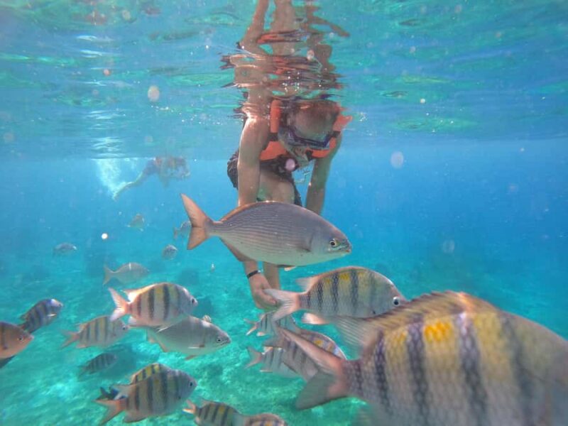 Cozumel: Transparent Boat Tour with Snorkeling and 2 Beers - Practical Tips for the Tour Experience