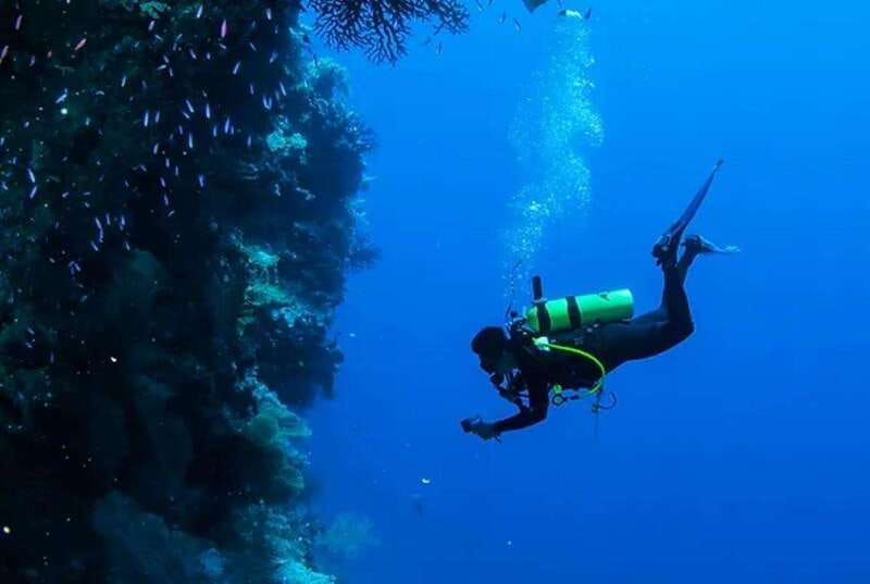 Cozumel: Twilight and Night Dive for Certified Divers - Key Points