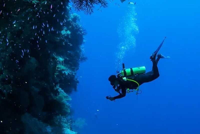 Cozumel: Twilight and Night Dive for Certified Divers - The Special Appeal of Bioluminescence in Cozumels Reefs