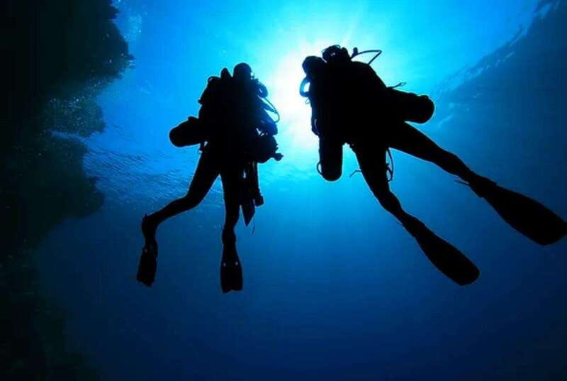 Cozumel: Twilight and Night Dive for Certified Divers - Who Will Appreciate This Night Dive Tour in Cozumel