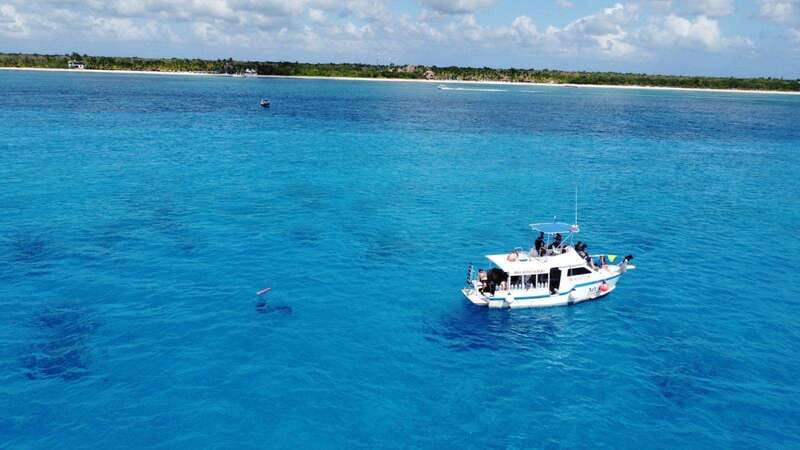 Cozumel: Two reef dives in Marine Park, certified divers - Small Group Diving with Experienced Guides