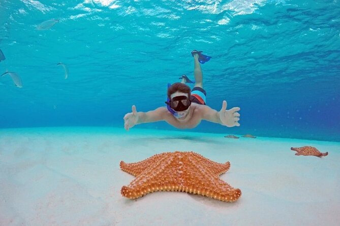 Cozumel Underwater Wonders: El Cielo Sandbar & Reef Snorkeling - Exciting Snorkeling in Cozumel: Reefs and El Cielo Sandbar for $170.10