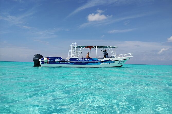 Cozumel Underwater Wonders: El Cielo Sandbar & Reef Snorkeling - Key Points