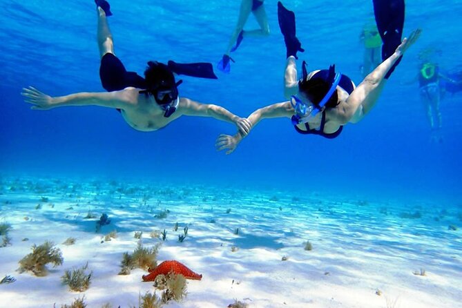 Cozumel Underwater Wonders: El Cielo Sandbar & Reef Snorkeling - What Sets This Tour Apart: Exclusive Access and Marine Diversity