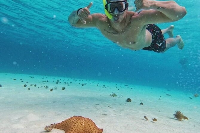 Cozumel's Reefs in El Cielo, Palancar and Columbia Guided Tour - Exploring Palancar Reef’s Marine Sanctuary