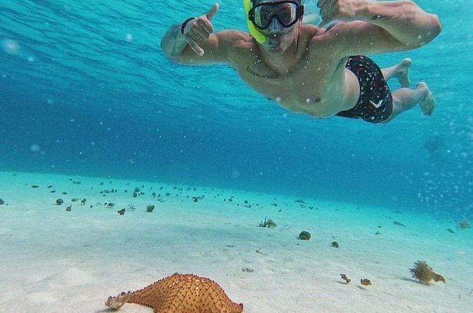 Cozumel's Reefs in El Cielo, Palancar and Columbia Guided Tour - Practical Details: Meeting Point and Group Size