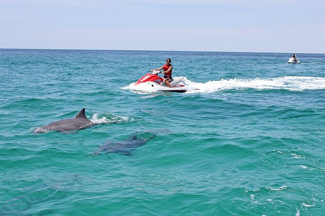 Crab Island Dolphin Jet Ski Adventure - Key Points