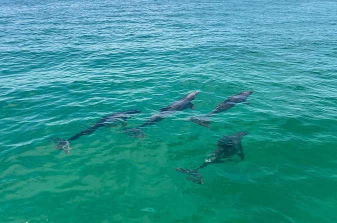 Crab Island Pontoon Rental - The Experience of Self-Guided Island Access