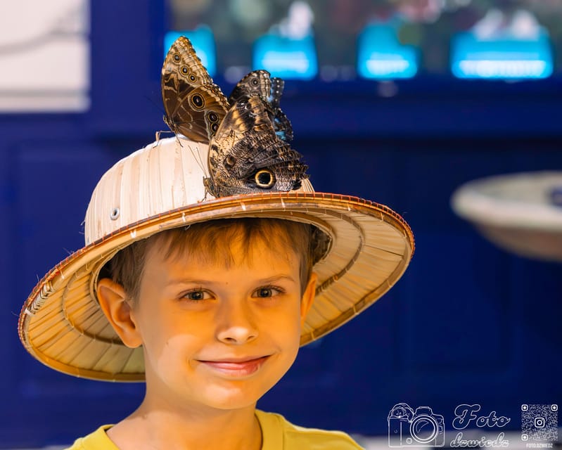 Cracow: 4 Mazes and Living Butterfly Museum Entry Ticket - Exciting Fun in Krakow’s House of Attractions with 4 Mazes and Butterfly Museum