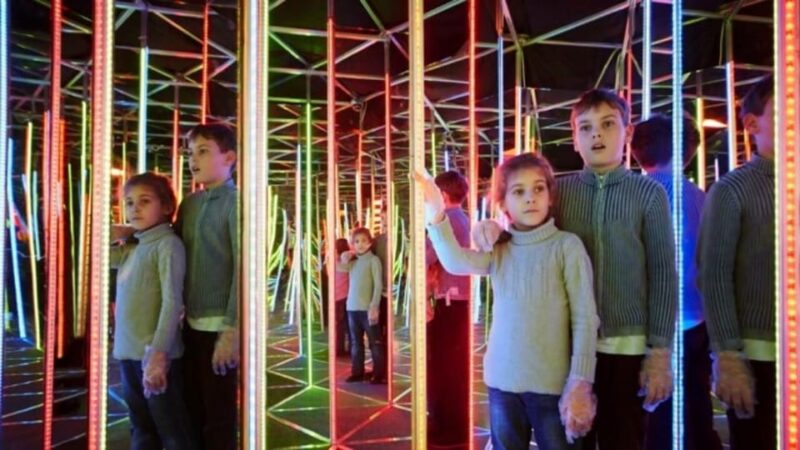 Cracow: 4 Mazes and Living Butterfly Museum Entry Ticket - Learning About Butterflies at the Living Butterfly Museum