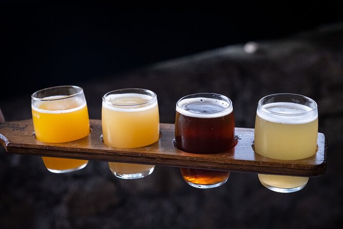 Craft Beer & Food Tour in Porto - Exploring Porto’s Pioneering Craft Beer Shop: Catraio