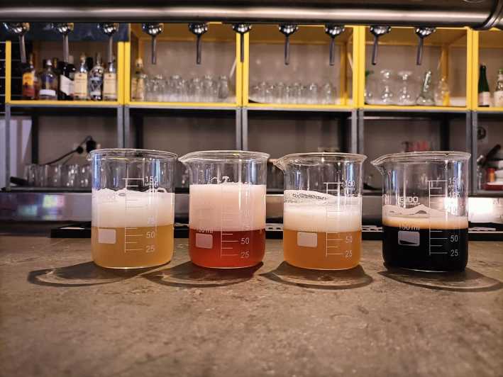 Craft Beer Tasting and tapas in Valencia - Key Points