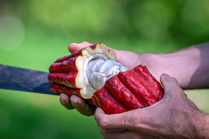 Craft Chocolate Tasting and Farm Experience on the Big Island - Key Points